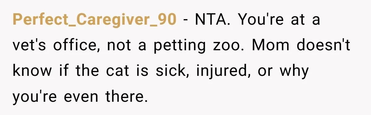Perfect_Caregiver_90 − NTA. You're at a vet's office, not a petting zoo. Mom doesn't know if the cat is sick, injured, or why you're even there.