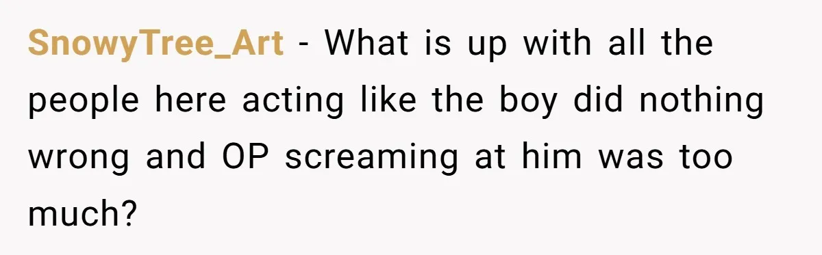SnowyTree_Art − What is up with all the people here acting like the boy did nothing wrong and OP screaming at him was too much?