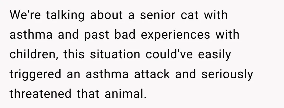 We're talking about a senior cat with asthma and past bad experiences with children, this situation could've easily triggered an asthma attack and seriously threatened that animal.