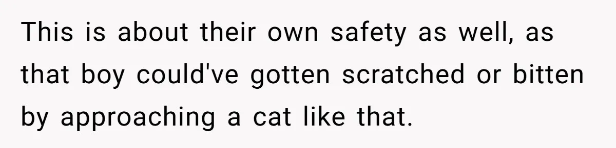 This is about their own safety as well, as that boy could've gotten scratched or bitten by approaching a cat like that.