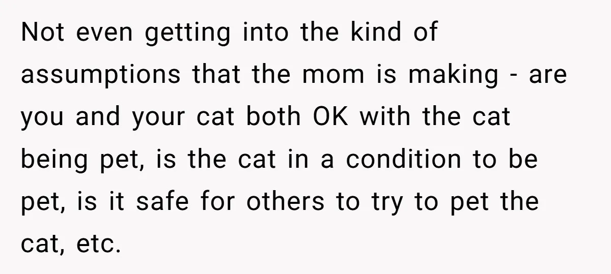 Not even getting into the kind of assumptions that the mom is making - are you and your cat both OK with the cat being pet, is the cat in...