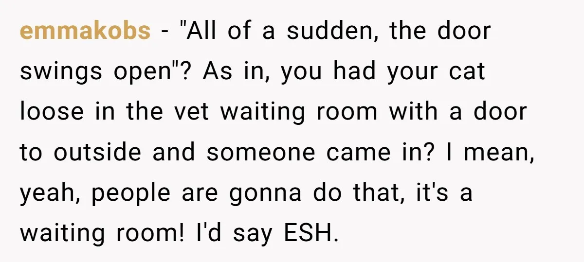 emmakobs − "All of a sudden, the door swings open"? As in, you had your cat loose in the vet waiting room with a door to outside and someone came...