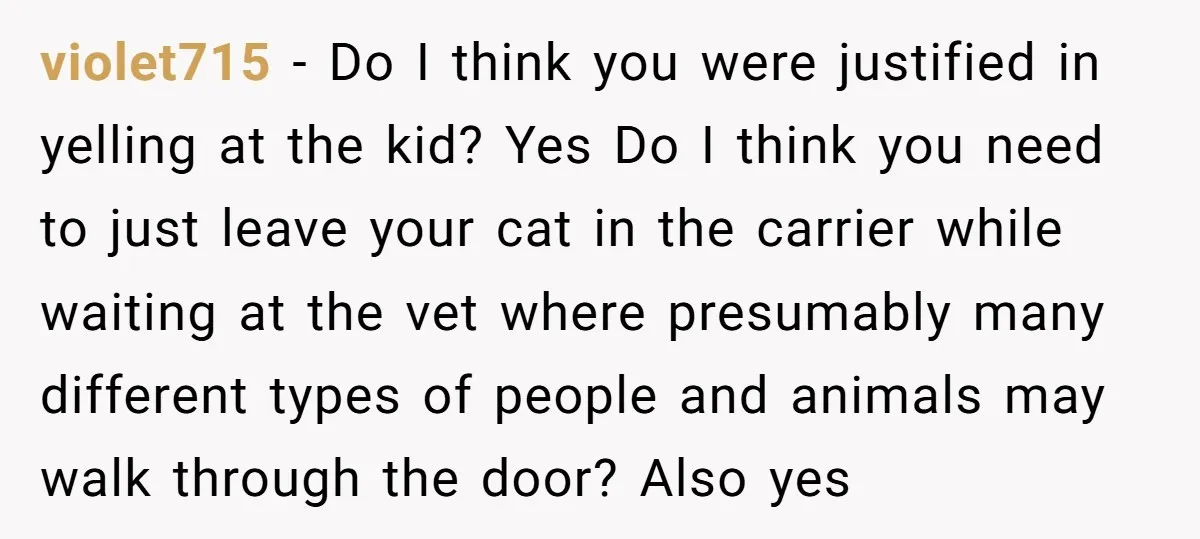 violet715 − Do I think you were justified in yelling at the kid? Yes Do I think you need to just leave your cat in the carrier while waiting at...