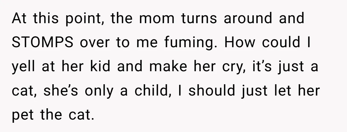 At this point, the mom turns around and STOMPS over to me fuming. How could I yell at her kid and make her cry, it’s just a cat, she’s only...