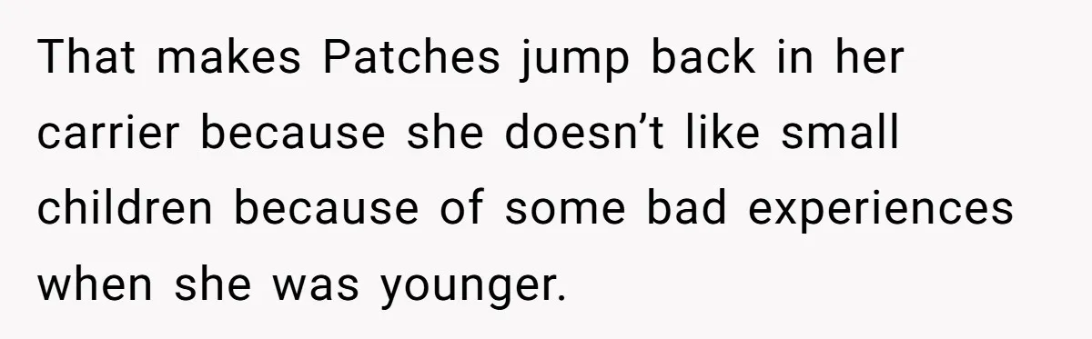 That makes Patches jump back in her carrier because she doesn’t like small children because of some bad experiences when she was younger.