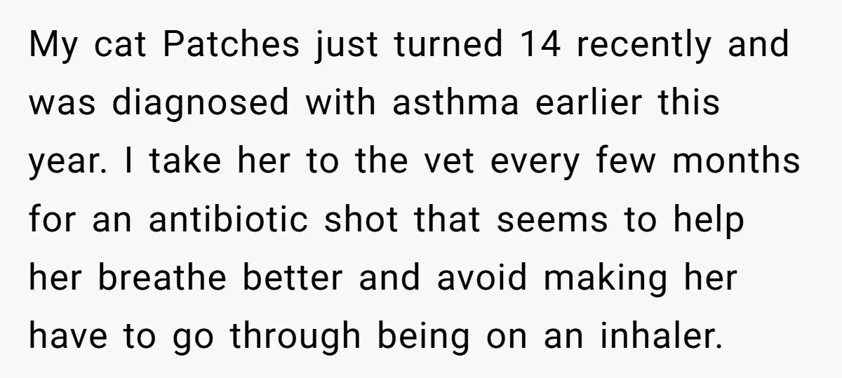 My cat Patches just turned 14 recently and was diagnosed with asthma earlier this year. I take her to the vet every few months for an antibiotic shot that seems...