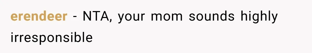 erendeer − NTA, your mom sounds highly irresponsible