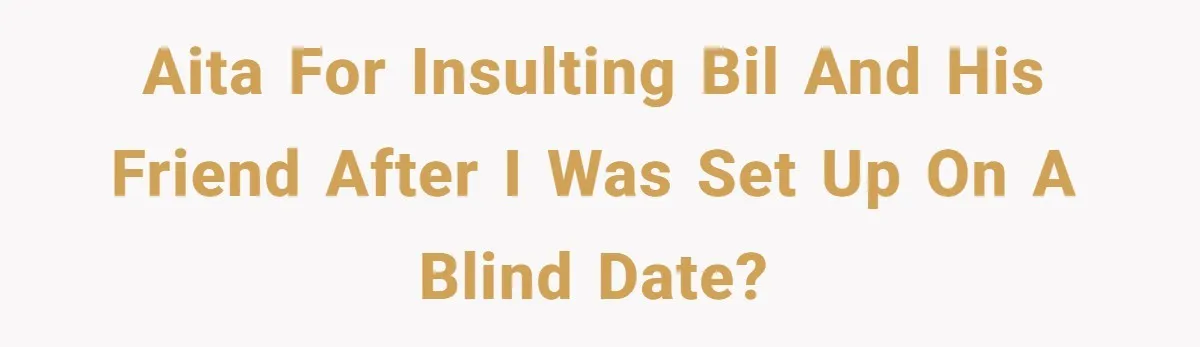 AITA for insulting BIL and his friend after I was set up on a blind date?