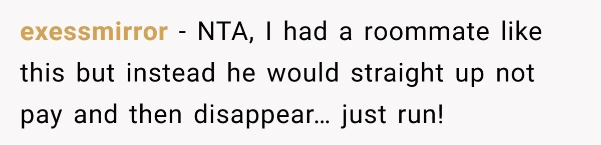 exessmirror - NTA, I had a roommate like this but instead he would straight up not pay and then disappear… just run!