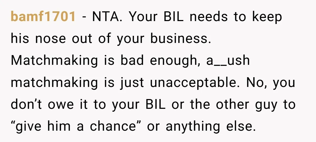 bamf1701 − NTA. Your BIL needs to keep his nose out of your business. Matchmaking is bad enough, a__ush matchmaking is just unacceptable. No, you don’t owe it to your...
