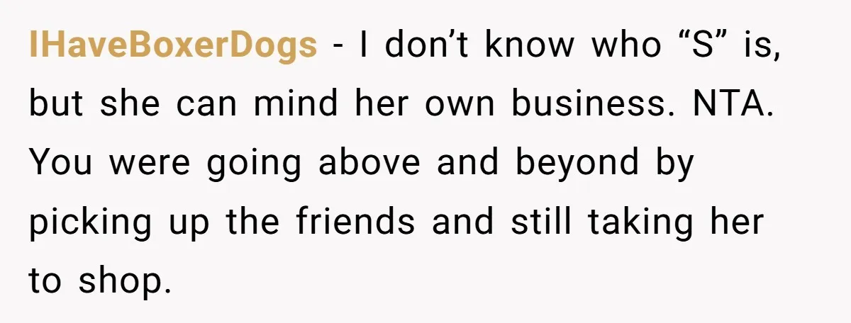 IHaveBoxerDogs − I don’t know who “S” is, but she can mind her own business. NTA. You were going above and beyond by picking up the friends and still taking...