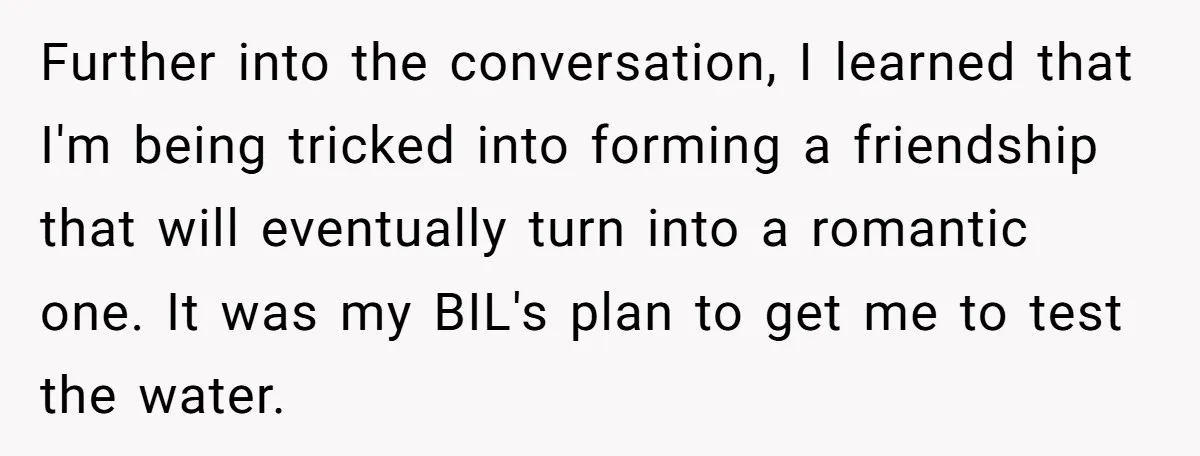 Further into the conversation, I learned that I'm being tricked into forming a friendship that will eventually turn into a romantic one. It was my BIL's plan to get me...