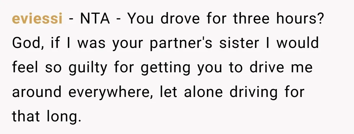 eviessi − NTA - You drove for three hours? God, if I was your partner's sister I would feel so guilty for getting you to drive me around everywhere, let...