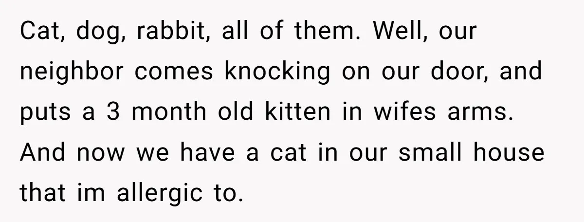 Cat, dog, rabbit, all of them. Well, our neighbor comes knocking on our door, and puts a 3 month old kitten in wifes arms. And now we have a cat...