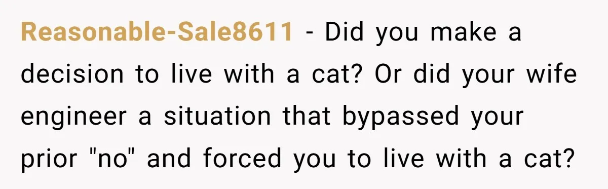 Reasonable-Sale8611 − Did you make a decision to live with a cat? Or did your wife engineer a situation that bypassed your prior "no" and forced you to live with...