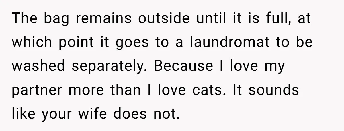 The bag remains outside until it is full, at which point it goes to a laundromat to be washed separately. Because I love my partner more than I love cats....