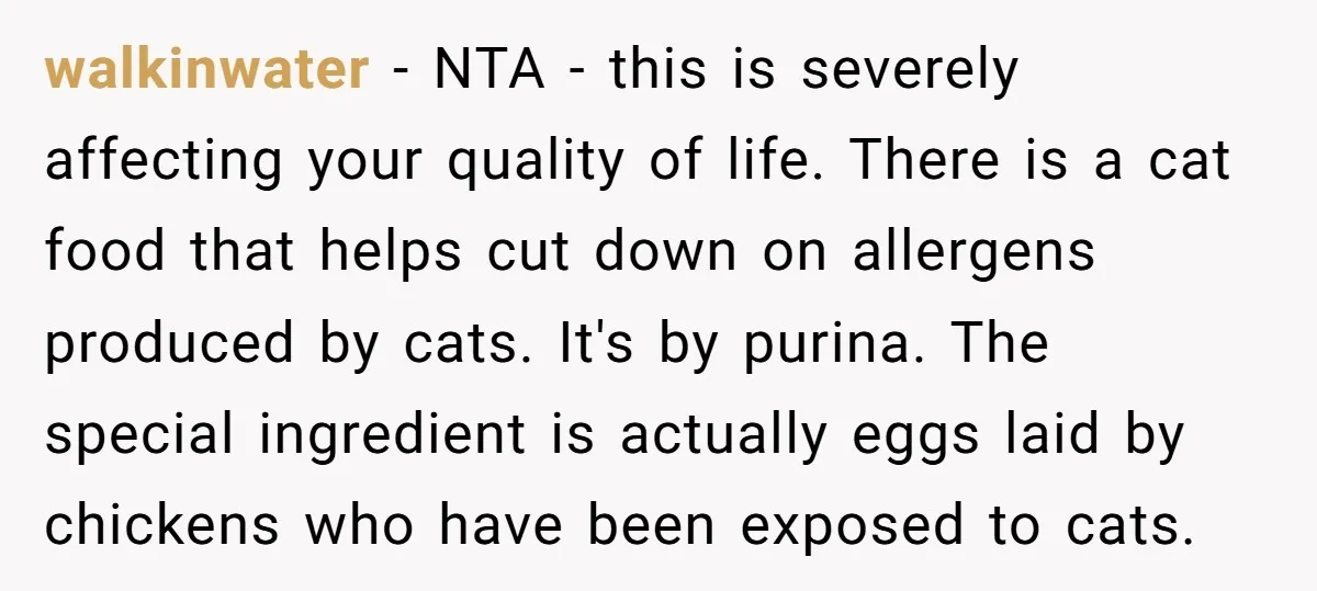 walkinwater − NTA - this is severely affecting your quality of life. There is a cat food that helps cut down on allergens produced by cats. It's by purina. The...