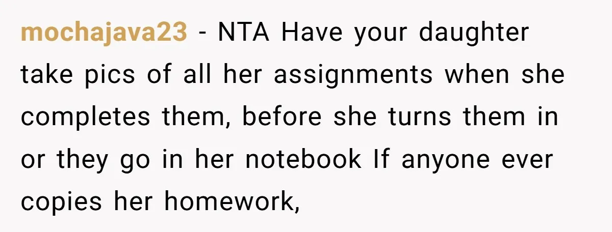 mochajava23 - NTA Have your daughter take pics of all her assignments when she completes them, before she turns them in or they go in her notebook If anyone ever...