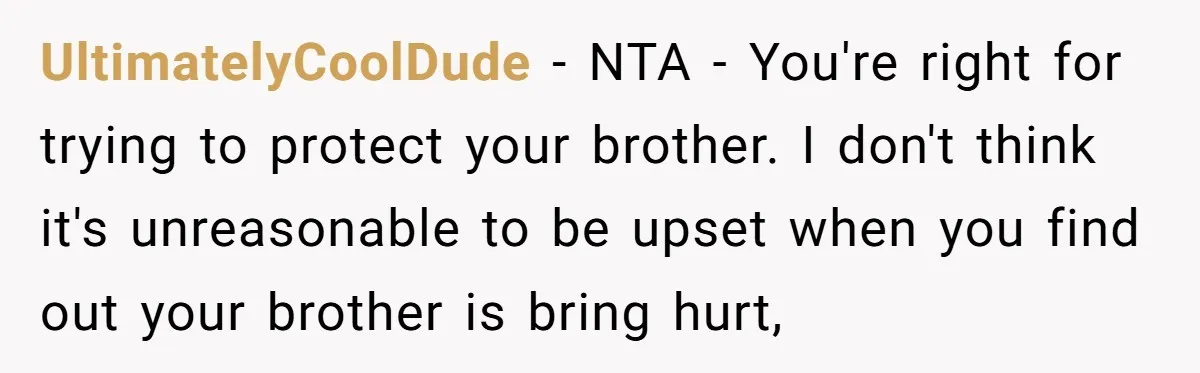 UltimatelyCoolDude − NTA - You're right for trying to protect your brother. I don't think it's unreasonable to be upset when you find out your brother is bring hurt,