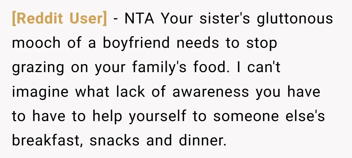 [Reddit User] − NTA Your sister's gluttonous mooch of a boyfriend needs to stop grazing on your family's food. I can't imagine what lack of awareness you have to have...