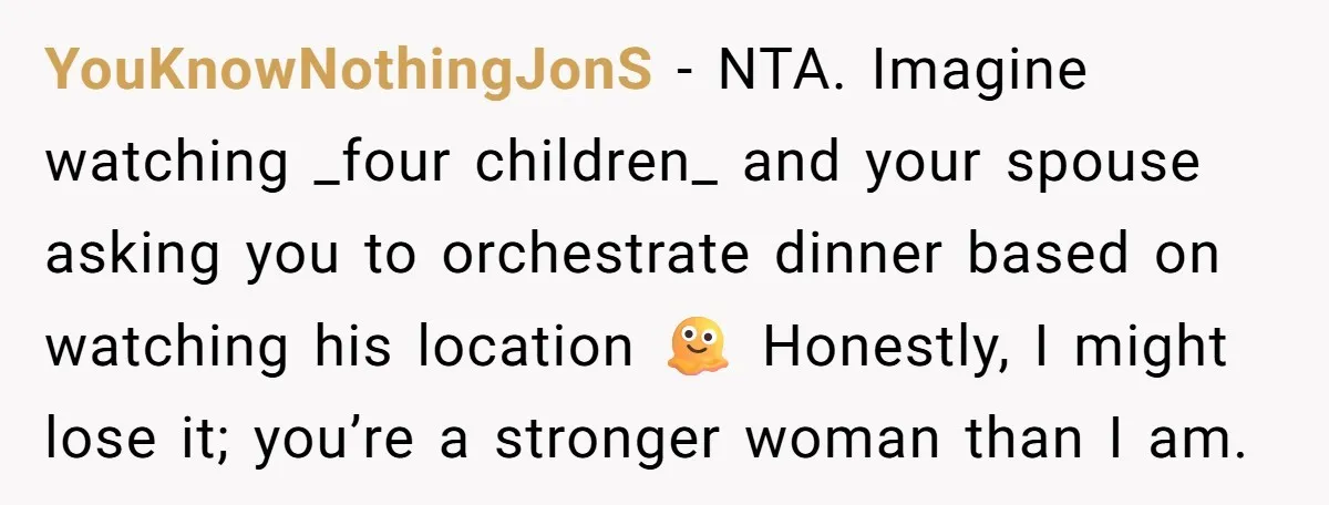 YouKnowNothingJonS − NTA. Imagine watching _four children_ and your spouse asking you to orchestrate dinner based on watching his location 🫠 Honestly, I might lose it; you’re a stronger woman...