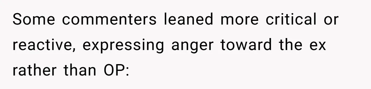 Some commenters leaned more critical or reactive, expressing anger toward the ex rather than OP: