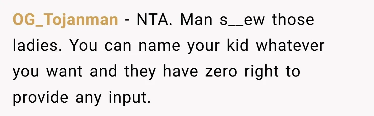 OG_Tojanman − NTA. Man s__ew those ladies. You can name your kid whatever you want and they have zero right to provide any input.