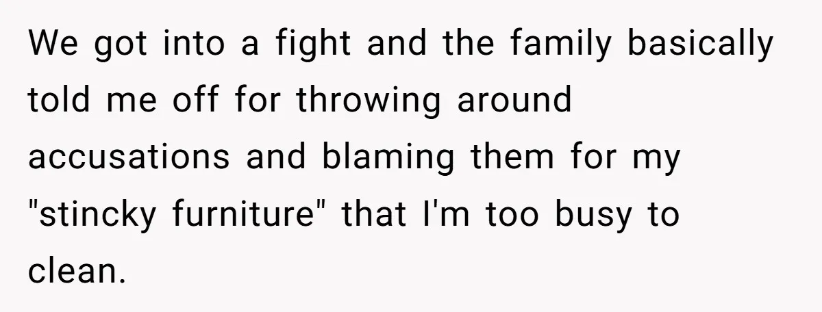 We got into a fight and the family basically told me off for throwing around accusations and blaming them for my "stincky furniture" that I'm too busy to clean.