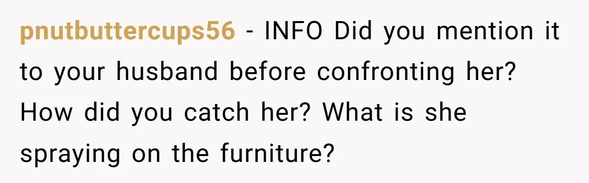 pnutbuttercups56 − INFO Did you mention it to your husband before confronting her? How did you catch her? What is she spraying on the furniture?