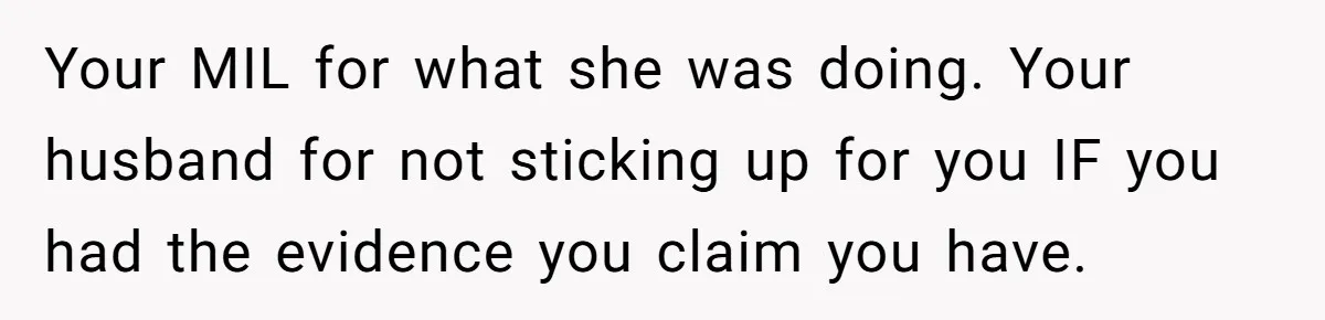Your MIL for what she was doing. Your husband for not sticking up for you IF you had the evidence you claim you have.