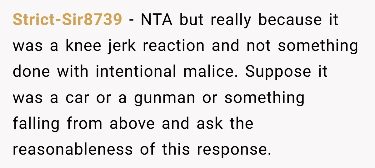 Strict-Sir8739 − NTA but really because it was a knee jerk reaction and not something done with intentional malice. Suppose it was a car or a gunman or something falling...