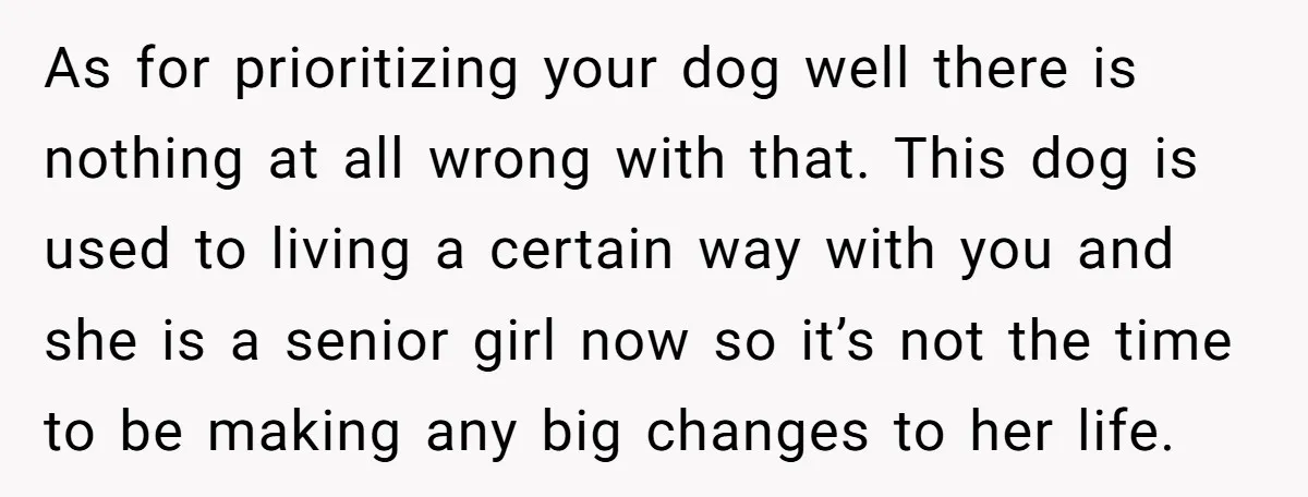 As for prioritizing your dog well there is nothing at all wrong with that. This dog is used to living a certain way with you and she is a senior...