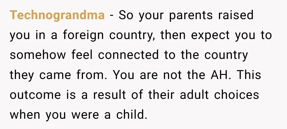 Technograndma − So your parents raised you in a foreign country, then expect you to somehow feel connected to the country they came from. You are not the AH. This...