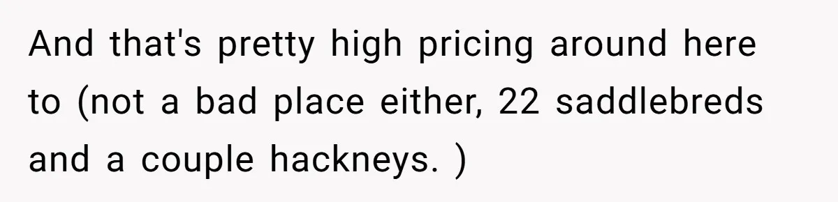 And that's pretty high pricing around here to (not a bad place either, 22 saddlebreds and a couple hackneys. )
