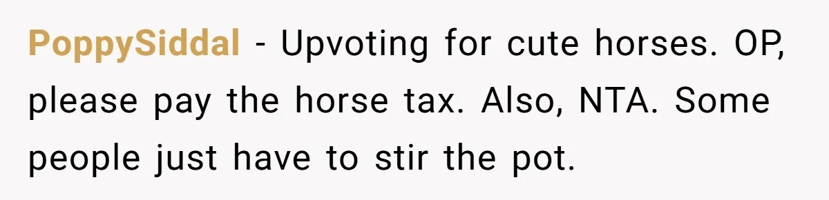 PoppySiddal − Upvoting for cute horses. OP, please pay the horse tax. Also, NTA. Some people just have to stir the pot.