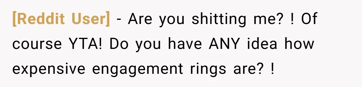 [Reddit User] − Are you shitting me? ! Of course YTA! Do you have ANY idea how expensive engagement rings are? !