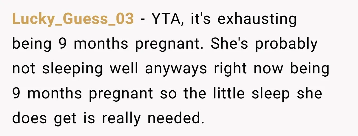 Lucky_Guess_03 − YTA, it's exhausting being 9 months pregnant. She's probably not sleeping well anyways right now being 9 months pregnant so the little sleep she does get is really...