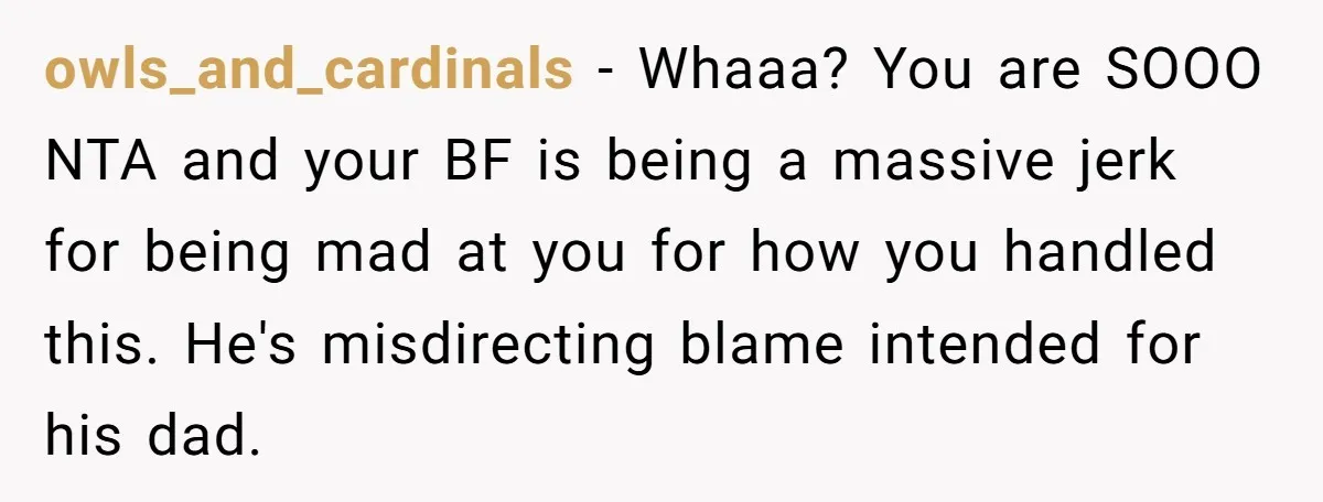 owls_and_cardinals − Whaaa? You are SOOO NTA and your BF is being a massive jerk for being mad at you for how you handled this. He's misdirecting blame intended for...