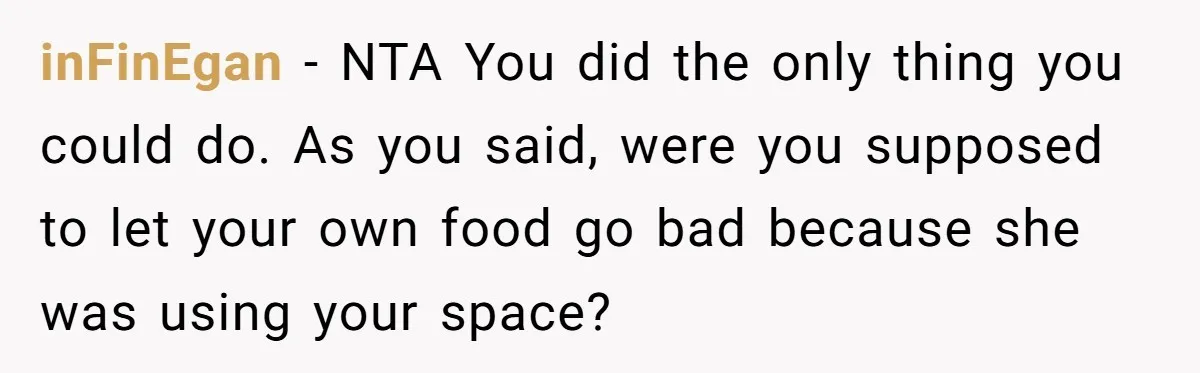inFinEgan − NTA You did the only thing you could do. As you said, were you supposed to let your own food go bad because she was using your space?