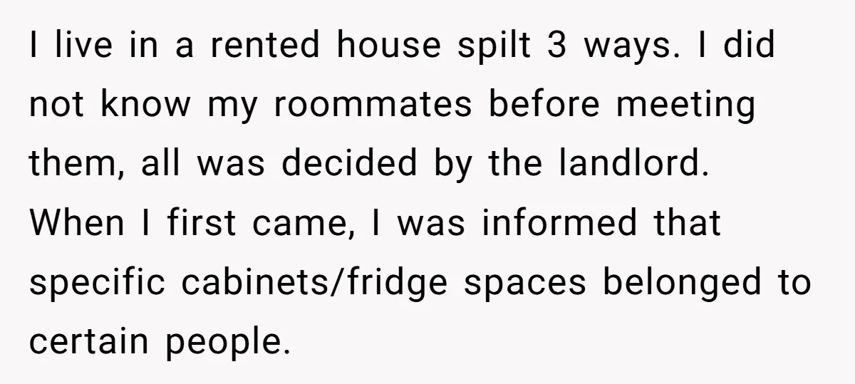 I live in a rented house spilt 3 ways. I did not know my roommates before meeting them, all was decided by the landlord. When I first came, I was...