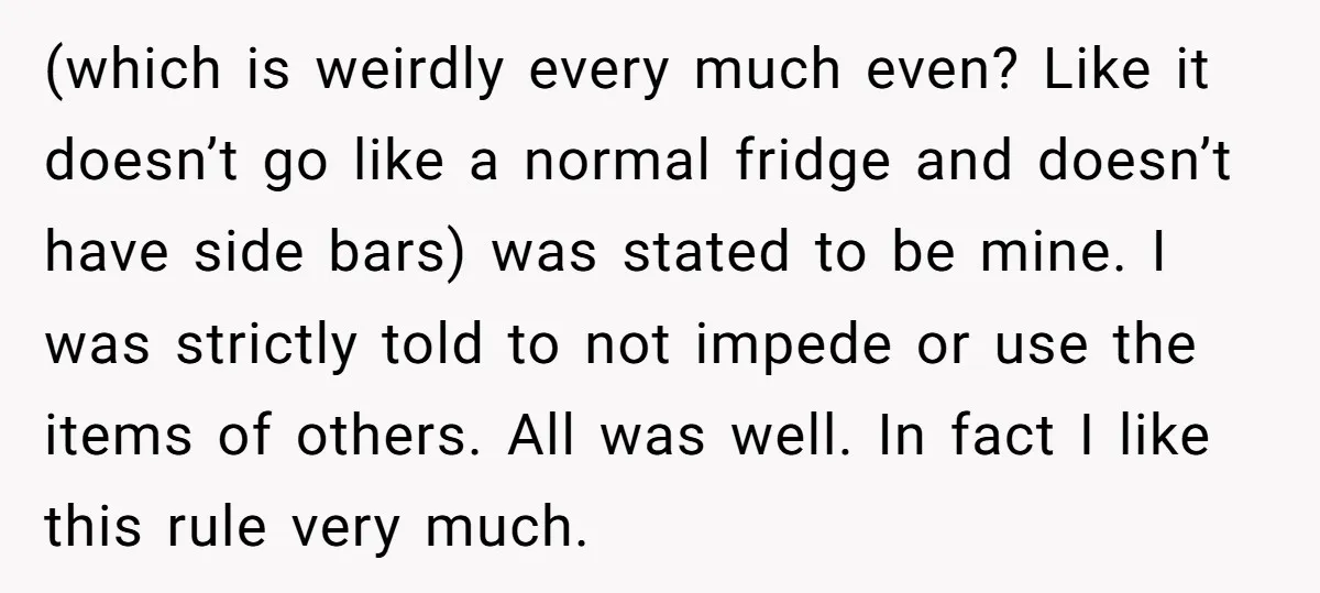 (which is weirdly every much even? Like it doesn’t go like a normal fridge and doesn’t have side bars) was stated to be mine. I was strictly told to not...