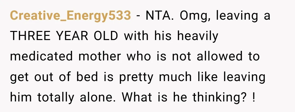 Creative_Energy533 - NTA. Omg, leaving a THREE YEAR OLD with his heavily medicated mother who is not allowed to get out of bed is pretty much like leaving him totally...