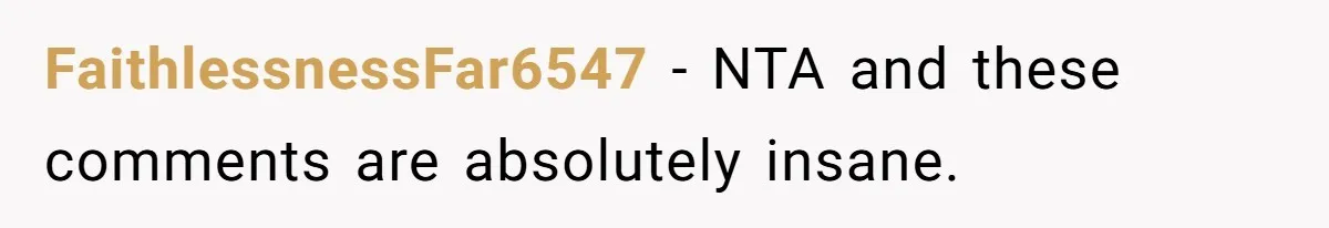 FaithlessnessFar6547 − NTA and these comments are absolutely insane.