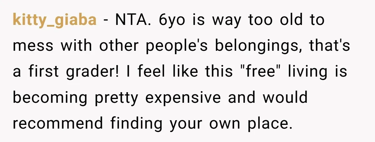 kitty_giaba − NTA. 6yo is way too old to mess with other people's belongings, that's a first grader! I feel like this "free" living is becoming pretty expensive and would...
