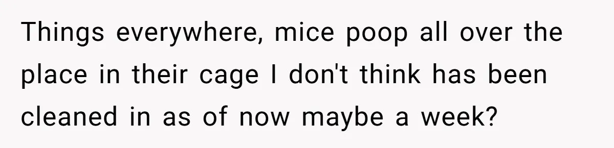 Things everywhere, mice poop all over the place in their cage I don't think has been cleaned in as of now maybe a week?