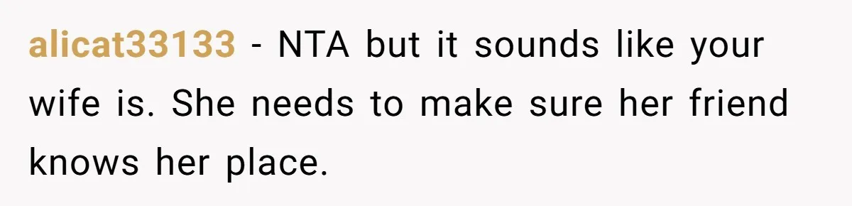 alicat33133 − NTA but it sounds like your wife is. She needs to make sure her friend knows her place.