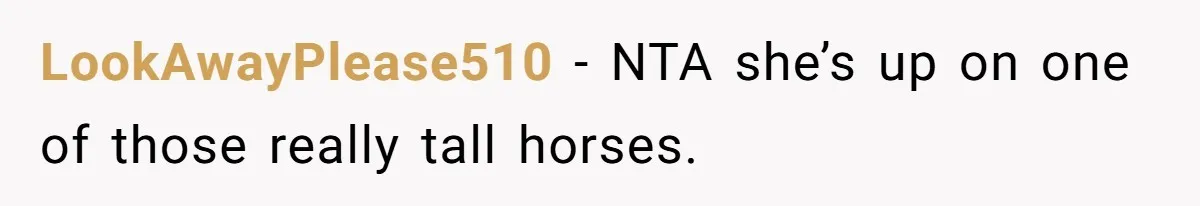 LookAwayPlease510 − NTA she’s up on one of those really tall horses.