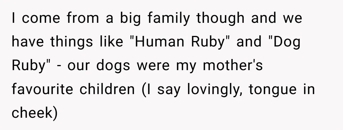 I come from a big family though and we have things like "Human Ruby" and "Dog Ruby" - our dogs were my mother's favourite children (I say lovingly, tongue in...