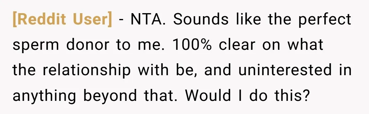 [Reddit User] − NTA. Sounds like the perfect sperm donor to me. 100% clear on what the relationship with be, and uninterested in anything beyond that. Would I do this?