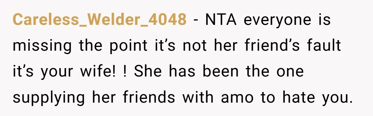 Careless_Welder_4048 − NTA everyone is missing the point it’s not her friend’s fault it’s your wife! ! She has been the one supplying her friends with amo to hate you.